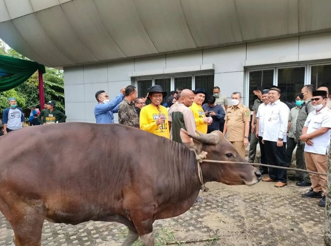 Meningkat Dari Tahun Lalu, PWI Riau Sembelih Lima Ekor Sapi Qurban ...